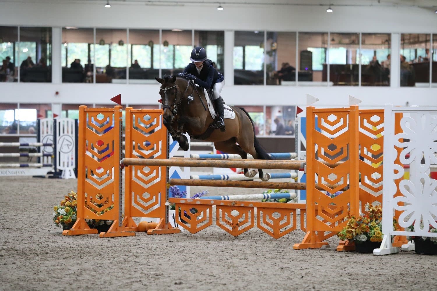 Pony Show Jumping Champion